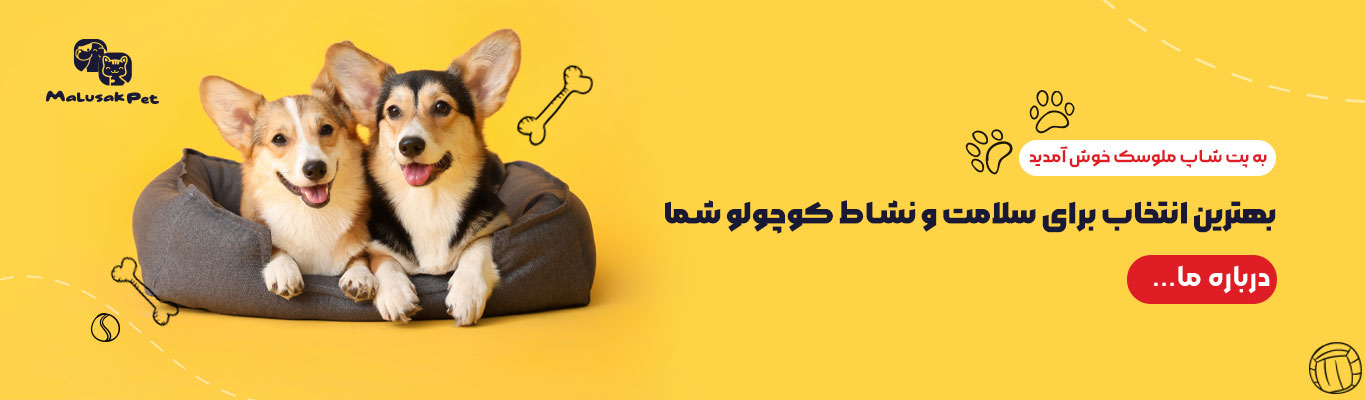 پت شاپ ملوسک 