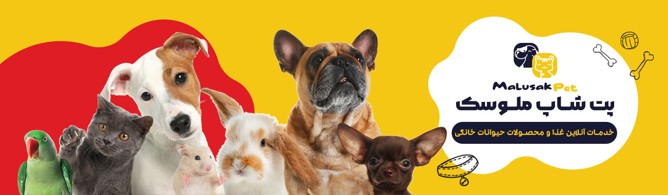 خدمات آنلاین غذا و محصولات حیوانات خانگی