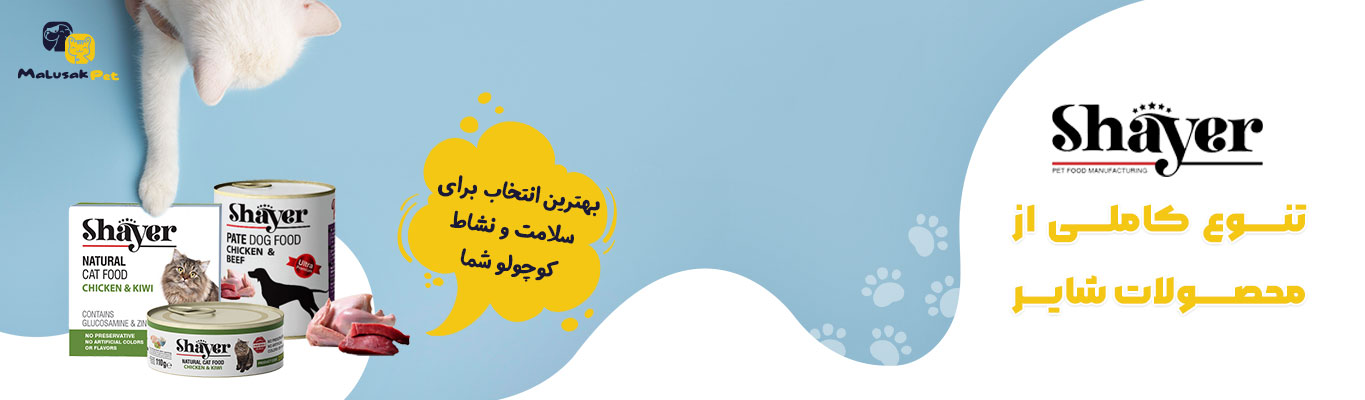 خدمات آنلاین غذا و محصولات حیوانات خانگی